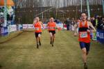 Rijen090228080214_small.jpg (3946 Byte)