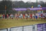 Rijen090301010036_small.jpg (3932 Byte)