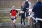 Rijen090301010081_small.jpg (3698 Byte)