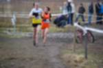 Rijen090301010092_small.jpg (3932 Byte)