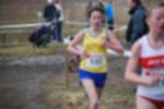 Rijen090301010120_small.jpg (3932 Byte)