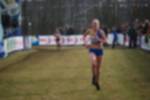 Rijen090301010256_small.jpg (3932 Byte)