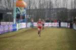 Rijen090301010315_small.jpg (3857 Byte)