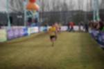 Rijen090301010335_small.jpg (3857 Byte)