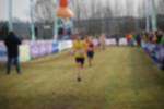 Rijen090301010337_small.jpg (3698 Byte)