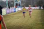 Rijen090301010345_small.jpg (3698 Byte)