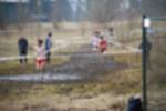 Rijen090301020114_small.jpg (3946 Byte)