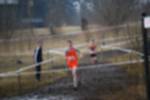 Rijen090301020130_small.jpg (3946 Byte)