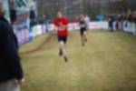 Rijen090301020316_small.jpg (3932 Byte)