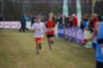 Rijen090301020333_small.jpg (3698 Byte)