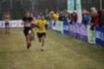 Rijen090301020367_small.jpg (3857 Byte)