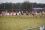 Rijen090301030017_small.jpg (3698 Byte)