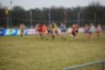 Rijen090301030018_small.jpg (3946 Byte)