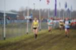 Rijen090301030051_small.jpg (3857 Byte)