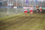 Rijen090301030059_small.jpg (3857 Byte)