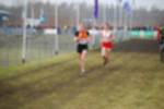 Rijen090301030063_small.jpg (3857 Byte)