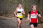 Rijen090301030136_small.jpg (3932 Byte)