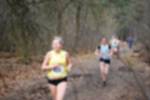 Rijen090301030144_small.jpg (3932 Byte)