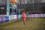 Rijen090301030190_small.jpg (3946 Byte)