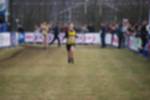 Rijen090301030215_small.jpg (3857 Byte)