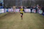 Rijen090301030216_small.jpg (3932 Byte)