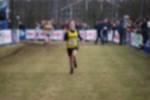 Rijen090301030217_small.jpg (3698 Byte)