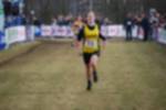 Rijen090301030219_small.jpg (3857 Byte)