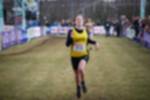 Rijen090301030221_small.jpg (3698 Byte)