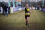 Rijen090301030222_small.jpg (3946 Byte)