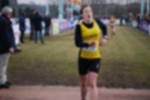 Rijen090301030224_small.jpg (3932 Byte)