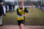 Rijen090301030225_small.jpg (3698 Byte)