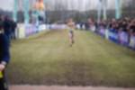 Rijen090301030226_small.jpg (3946 Byte)