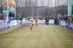 Rijen090301030251_small.jpg (3857 Byte)