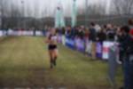 Rijen090301030260_small.jpg (3932 Byte)