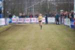 Rijen090301030286_small.jpg (3946 Byte)