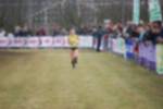 Rijen090301030287_small.jpg (3857 Byte)