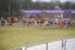 Rijen090301030398_small.jpg (3946 Byte)