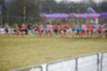 Rijen090301030399_small.jpg (3857 Byte)