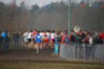 Rijen090301030411_small.jpg (3857 Byte)