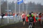 Rijen090301030416_small.jpg (3932 Byte)