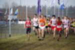 Rijen090301030420_small.jpg (3932 Byte)