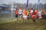 Rijen090301030421_small.jpg (3698 Byte)