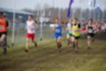 Rijen090301030428_small.jpg (3932 Byte)