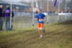 Rijen090301030447_small.jpg (3857 Byte)