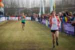 Rijen090301040198_small.jpg (3946 Byte)