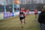 Rijen090301040274_small.jpg (3946 Byte)