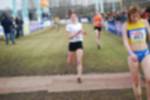 Rijen090301040420_small.jpg (3932 Byte)