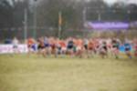 Rijen090301050044_small.jpg (3932 Byte)