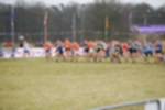 Rijen090301050046_small.jpg (3946 Byte)