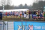 Rijen090301050086_small.jpg (3946 Byte)